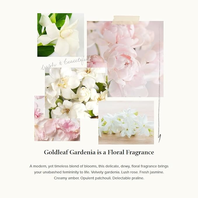 Thymes Goldleaf Gardenia Perfumed Body Crème - Moisturizing Body Cream - Shea Butter Body Lotion with Aloe Vera & Honey for Skin Care Routine - Body and Hand Lotion for Women & Men (9.25 fl oz)