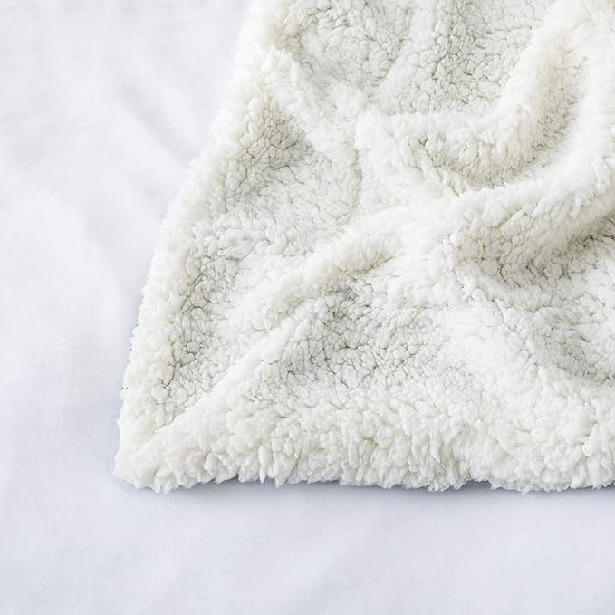 IR Imperial Rooms Sherpa Blankets Queen Size - Thick and Warm Blankets for Winter, Reversible Soft and Fuzzy Fluffy Queen Size Blanket for Bed, Teal, 90x90 Inches