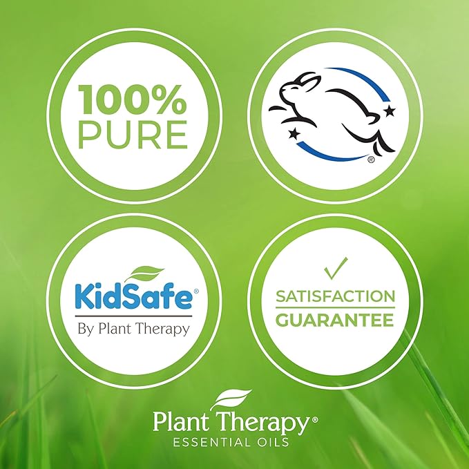 Plant Therapy Blissful Dreams Essential Oil Blend, Relaxation While Supporting Quality Rest, Grounding & Soothing, Bedtime Aroma, 10 mL (1/3 oz) 100% Pure, Pre-Diluted Roll On, Natural Aromatherapy