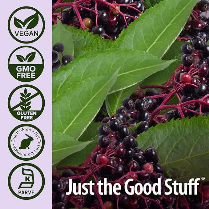Nature's Answer Sambucus Elderberry Syrup 16 Ounce | Great Tasting Immune Support Supplement | Antioxidant, Vegan, Gluten Free, Made in USA | Single Count