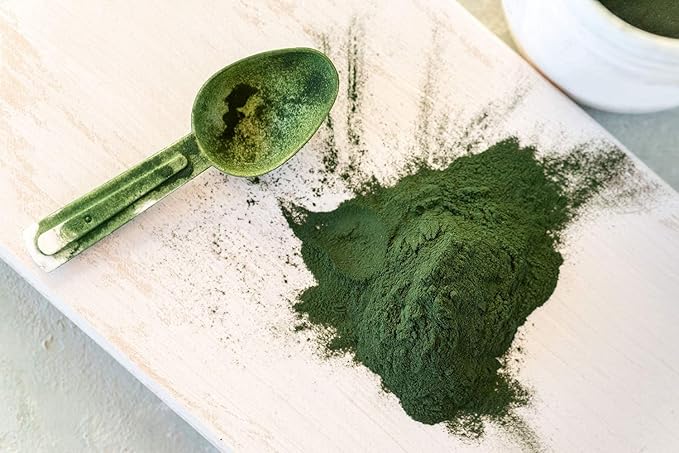 Food to Live Organic Chlorella Powder, 4 Pounds — Non-GMO, Kosher, Raw Green Algae, Vegan Superfood, Bulk, Pure Vegan Green Protein, Rich in Vitamins and Minerals, Great for Drinks, Broken Cell Wall
