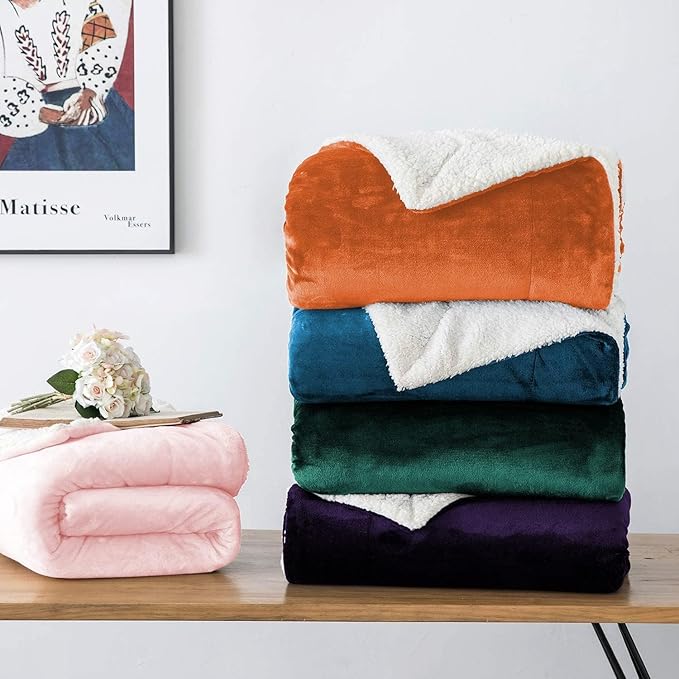 IR Imperial Rooms Sherpa Fleece Throw Blanket Twin Size for Couch - Thick and Warm Fluffy Teal Blankets for Winter, Soft and Fuzzy Twin Blanket for Bed, 60x80 Inches