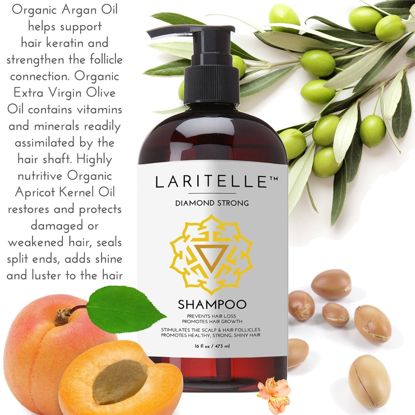 Organic Shampoo 17 oz + Conditioner 16 oz | Prevents Hair Loss, Promotes Hair Growth | Argan Oil, Rosemary, Ginger & Cedarwood | NO GMO, Sulfates, Gluten, Alcohol, Parabens, Phthalates