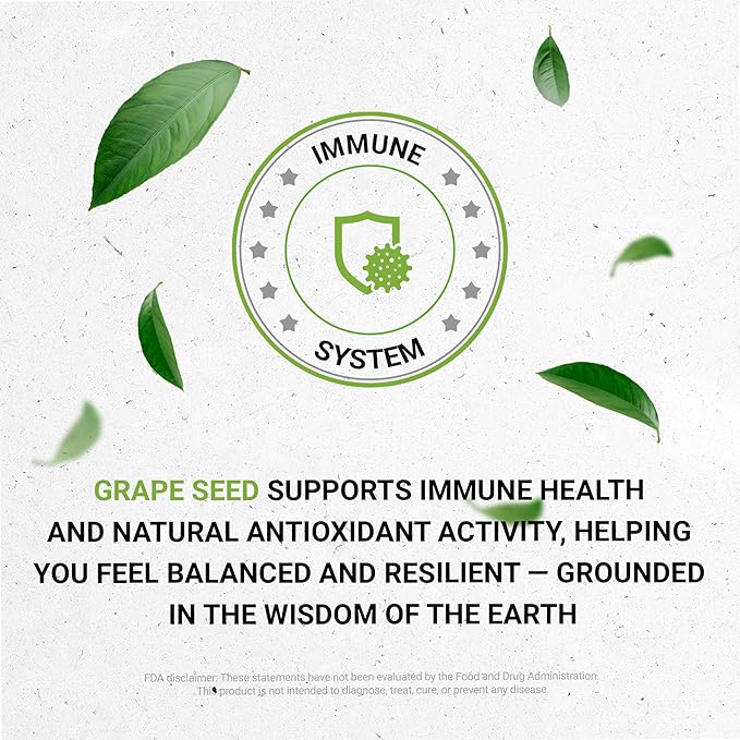 Secrets of the Tribe Grape Seed Tincture Alcohol-Free Liquid Extract, Grape (Vitis Vinifera) Dried Seed (4 FL OZ)