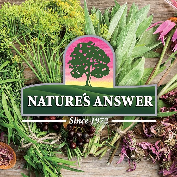 Nature's Answer Sambucus Elderberry Syrup 16 Ounce | Great Tasting Immune Support Supplement | Antioxidant, Vegan, Gluten Free, Made in USA | Single Count