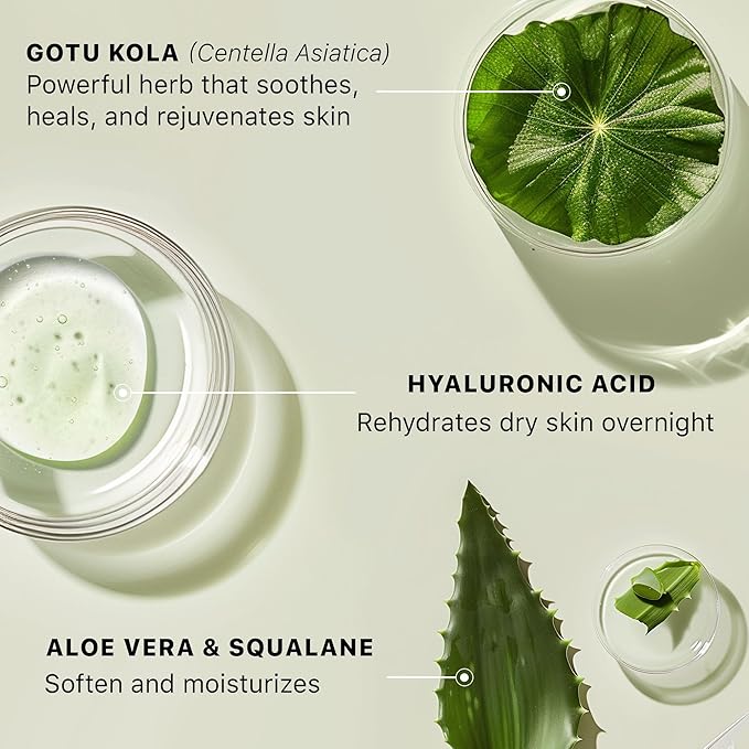 Hyaluronic Acid Moisturizer for Face - USA Made with Organic & Natural Ingredients, Hydrating Anti Aging Face Moisturizer for Dry Skin with Glycerin & Vitamin E, Unscented Anti Wrinkle Cream