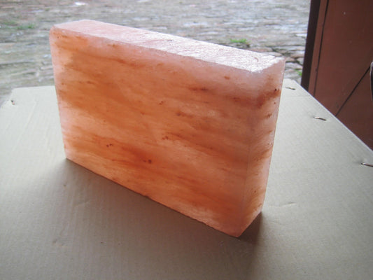 Black Tai Salt Co. Set of 2 4"x8"x2" Himalayan Salt Bricks!