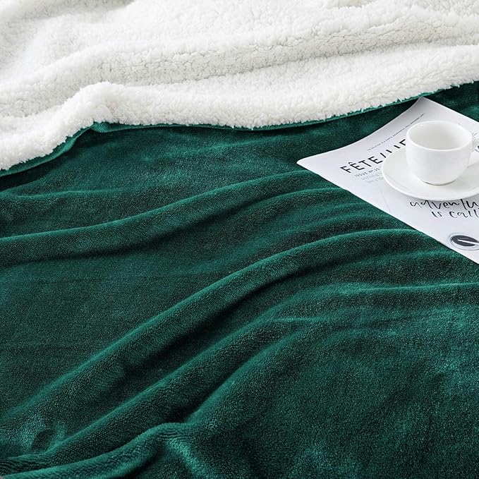 IR Imperial Rooms Sherpa Blankets Queen Size - Thick and Warm Blankets for Winter, Reversible Soft and Fuzzy Fluffy Queen Size Blanket for Bed, Emerald Green, 90x90 Inches