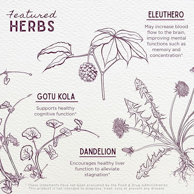 WishGarden Herbs Genius Juice - Liquid Herbal Nootropic Brain Booster Supplement for Focus, Clarity, Concentration & Energy with Ginkgo Biloba & Gotu Kola, Cognitive Support, No Caffeine, 4oz